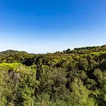 Bonriposo Legoli